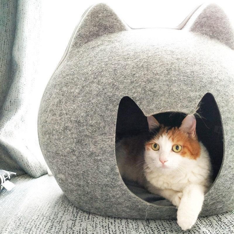 Cozy Haven Cat House & Litter Combo